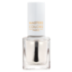 Image de Masters Colors Base & Coat (8ml)